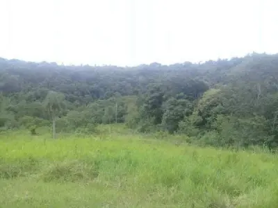 Propriedade rural de 41 hectares em Puerto Irala, Alto Paraná
