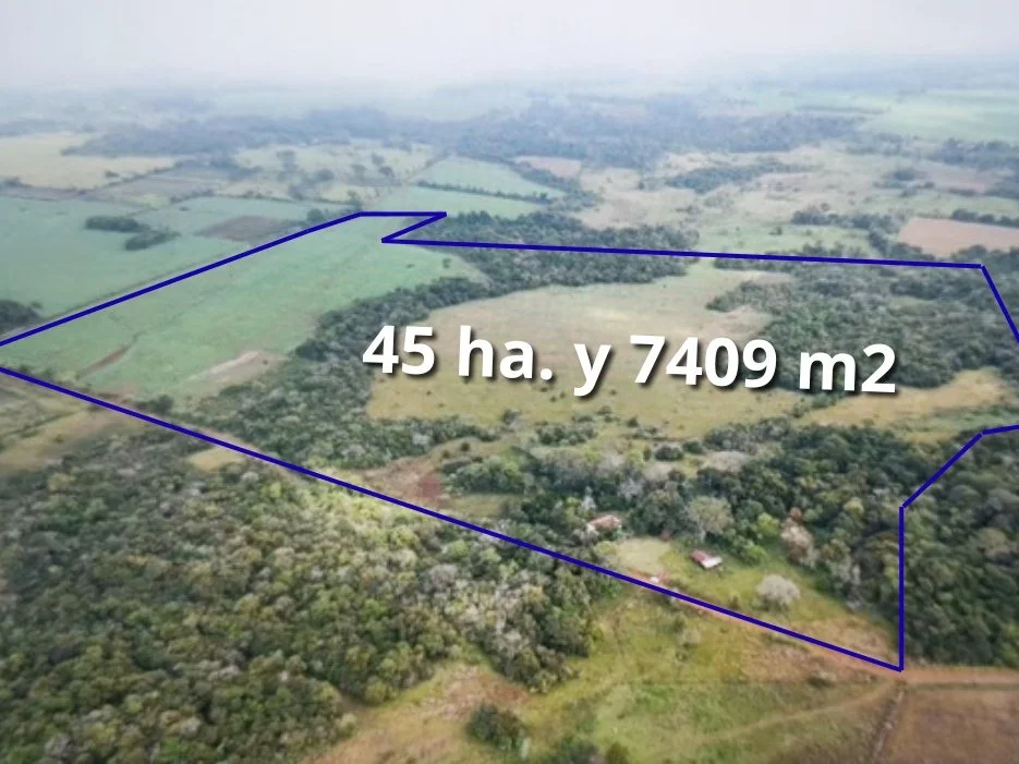 Propiedad rural de 45 hectáreas en venta en General Artigas, Itapúa