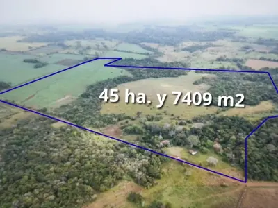 Propiedad rural de 45 hectáreas en venta en General Artigas, Itapúa