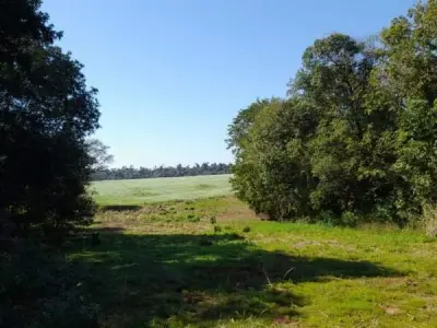 Propiedad rural de 4,5 hectáreas en venta, Minga Guazú