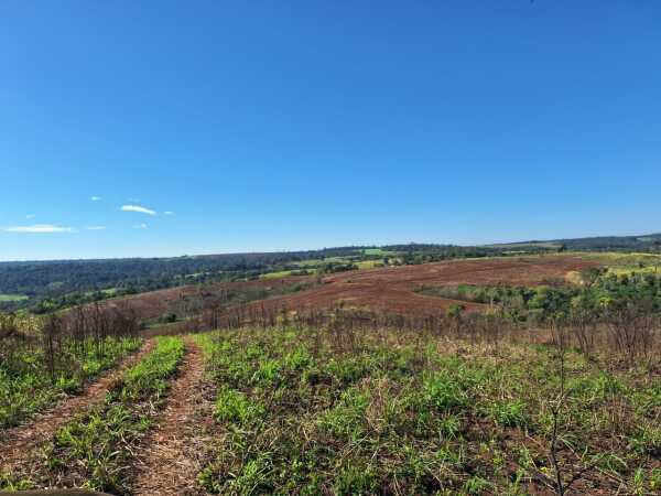 Propiedad rural de 51 hectáreas en venta en Itapúa Poty, Itapúa