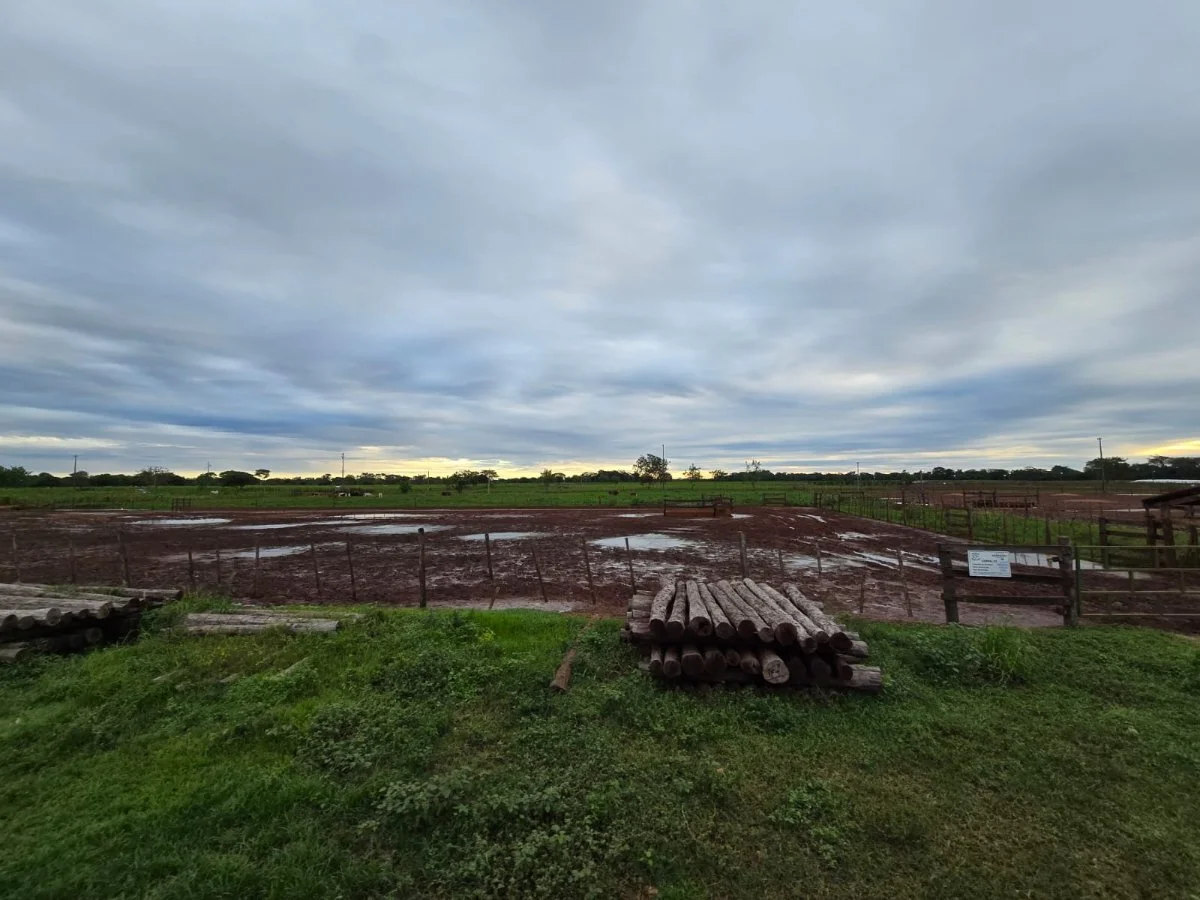 Propiedad rural de 73 hectáreas en venta, Belén, Concepción