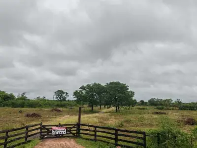 Propiedad rural de 79 hectáreas en venta en Loreto, Concepción