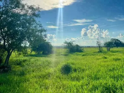 Rural property for sale in Arroyos y Esteros — 48 hectares