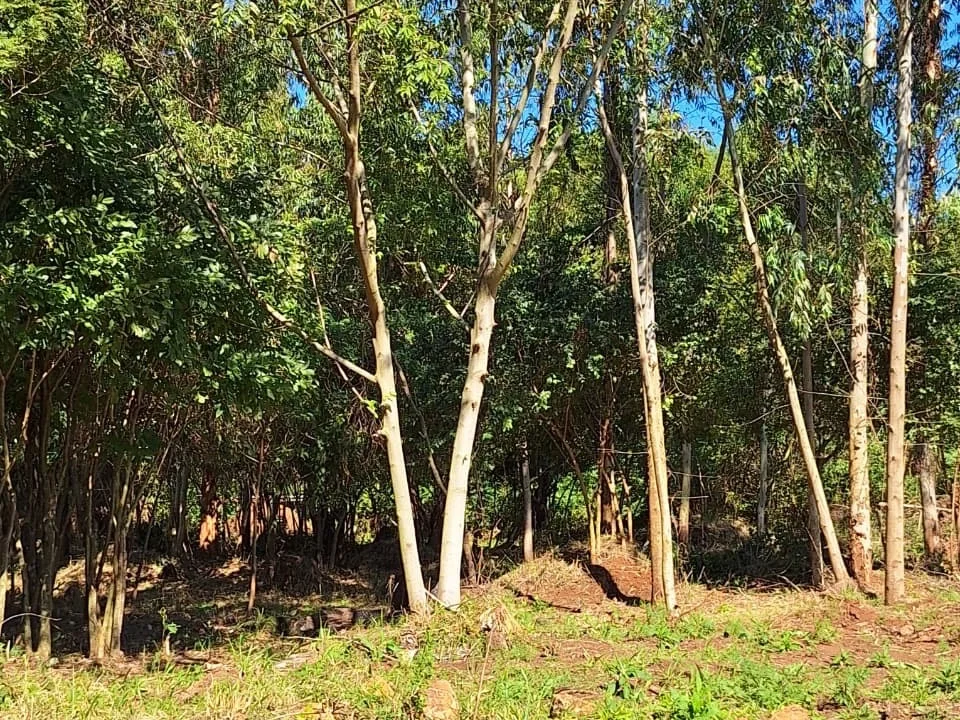 Propiedad rural en venta en Cambyretá, Itapúa — 1 hectárea