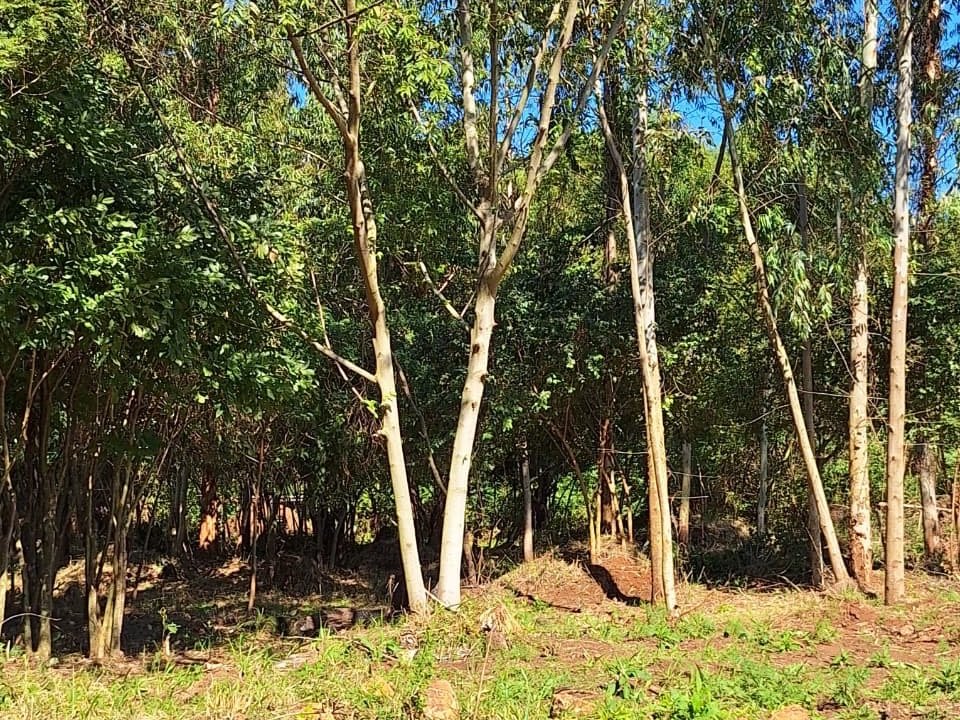 Propiedad rural en venta en Cambyretá, Itapúa — 1 hectárea