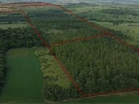 Propiedad rural en venta en Cambyretá, Itapúa
