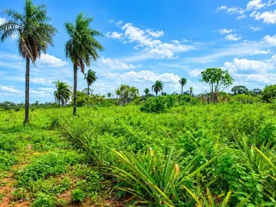 Propriedade rural à venda em Isla Pucú, Cordillera
