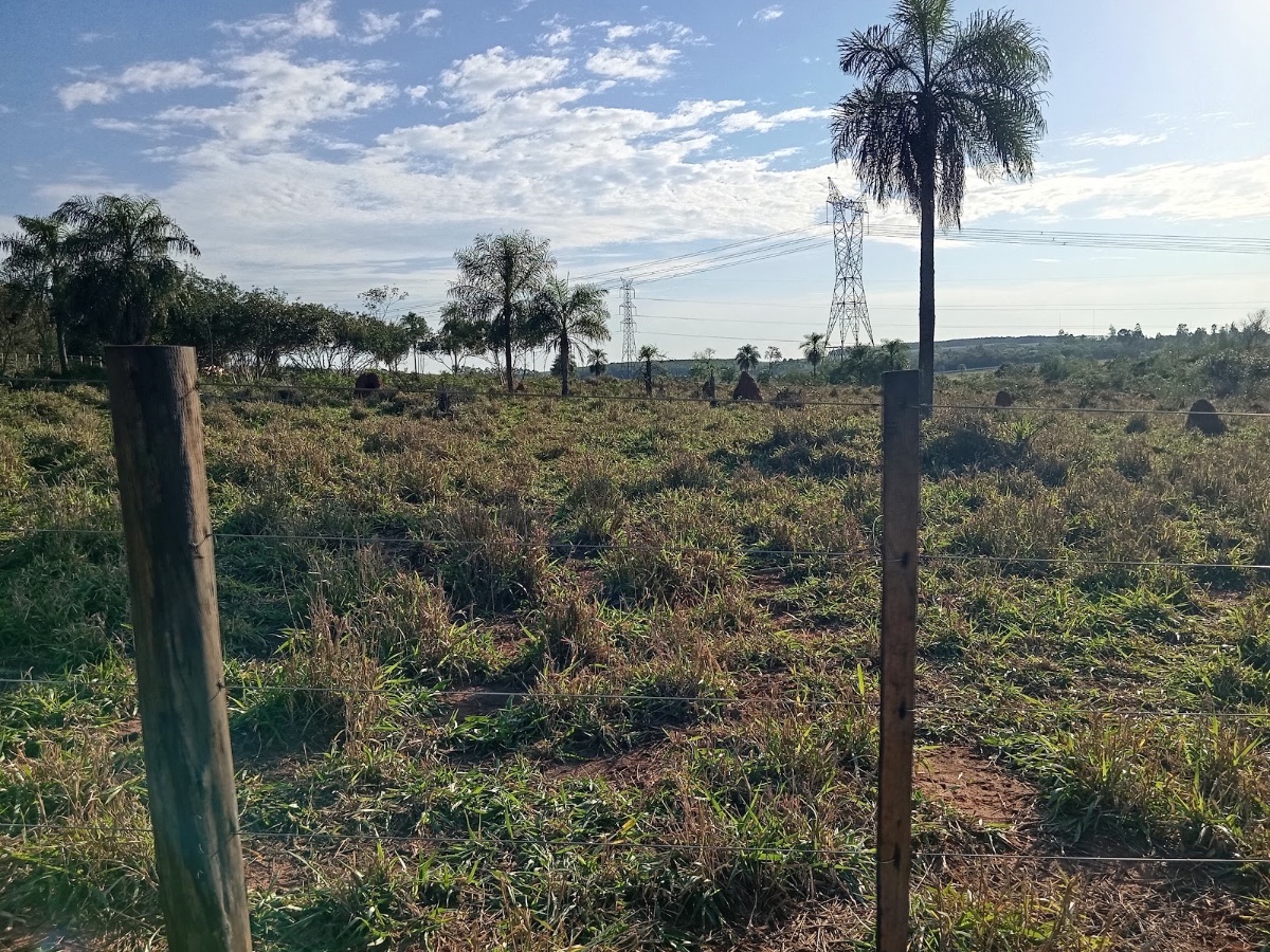 Propiedad rural en venta en Itakyry, 18 hectáreas