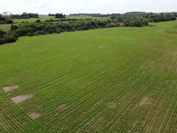Propriedade rural à venda em Minga Guazú - 10 hectares