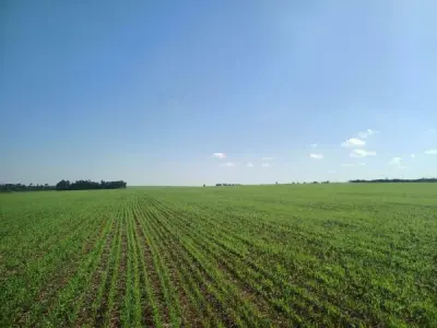 Rural Property for Sale in Minga Guazú - 11 Hectares, Mechanized