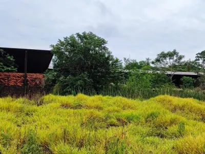 Propriedade rural à venda em Piribebuy, Cordillera — 2 hectares
