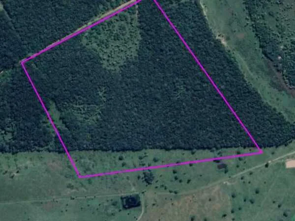 Propiedad rural en venta en zona Costa, Villa Hayes