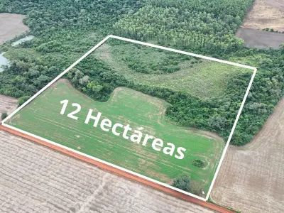 Propiedad rural mecanizada de 12 ha en Carmen del Paraná, Itapúa 1