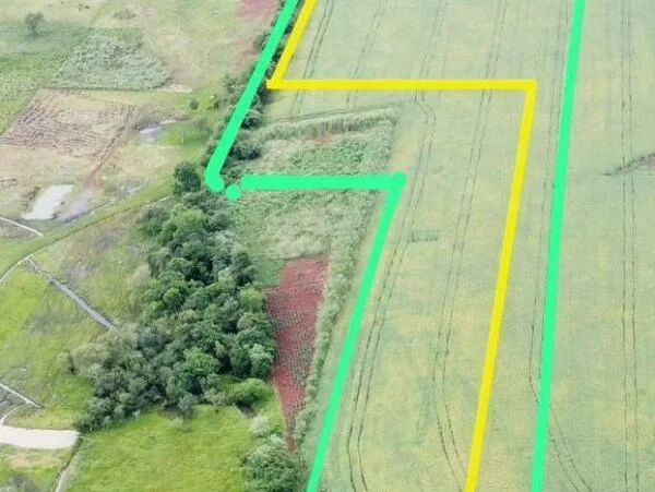Propiedad rural mecanizada en venta en Minga Guazú, Alto Paraná