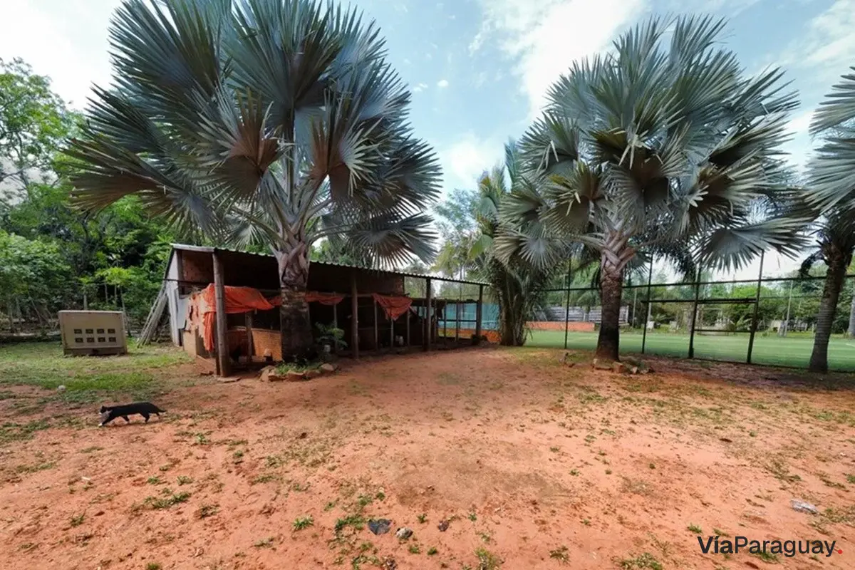 Quinta à venda em Itá com piscina e quadras