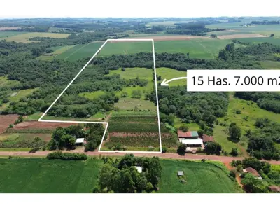 15-hectare agricultural land for sale in Capitán Miranda