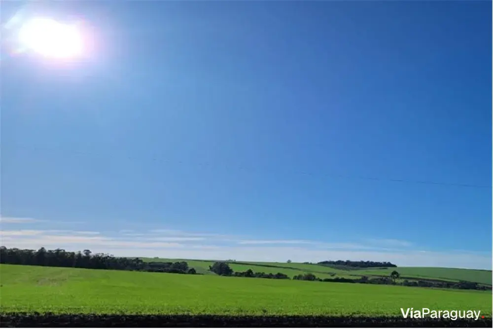 Terreno agrícola de 6 hectares à venda em Cambyretá, Itapúa
