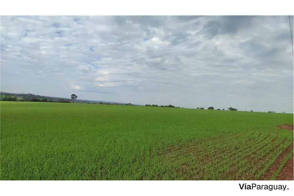 Terreno agrícola en venta en Cambyretá, Itapúa