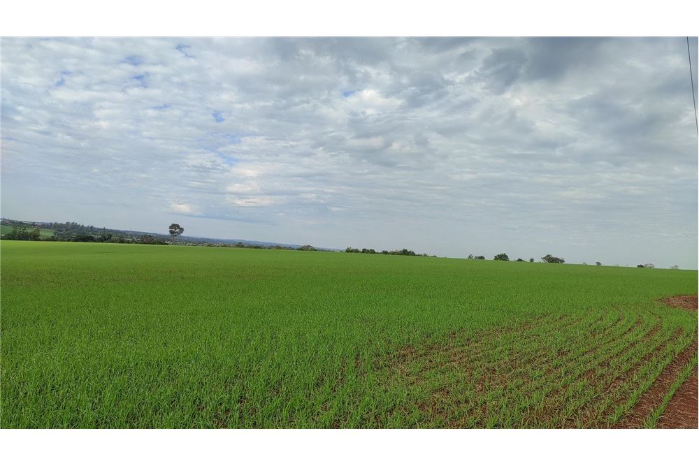 Terreno agrícola en venta en Cambyretá, Itapúa