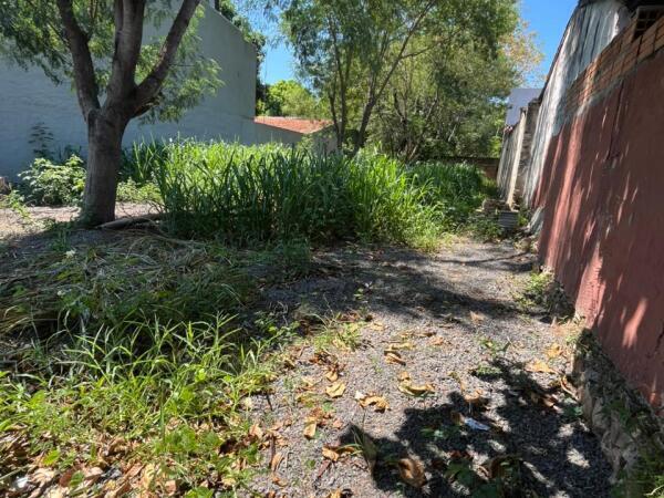 Terreno murado à venda em Arecaya, Mariano Roque Alonso