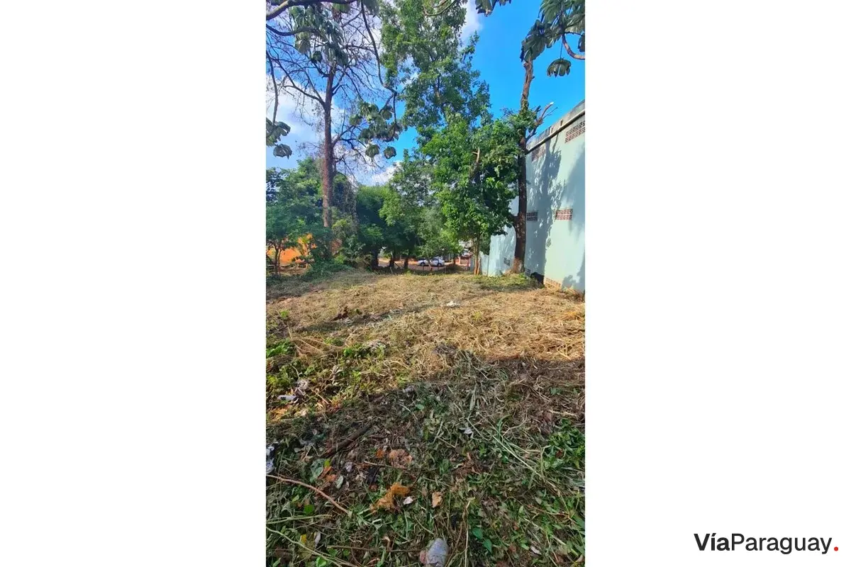 Terreno comercial en venta en Ciudad del Este, 29 de Septiembre