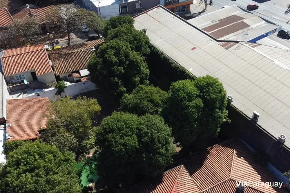 Terreno comercial à venda em Fernando de la Mora