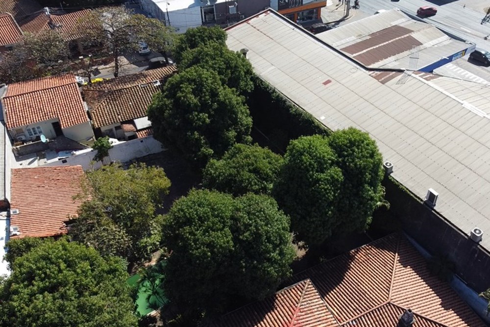 Terreno comercial en venta en Fernando de la Mora