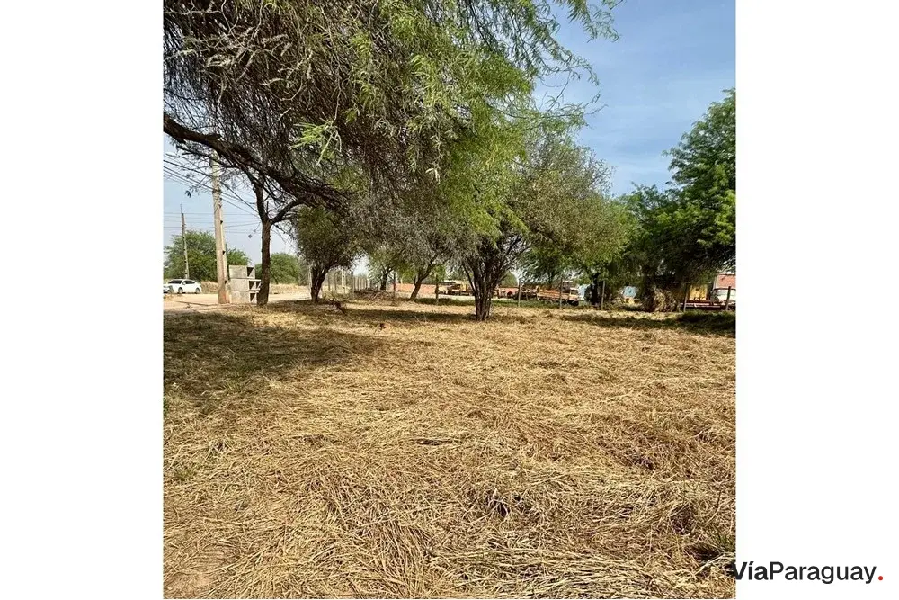 Terreno comercial en venta en Filadelfia, Boquerón