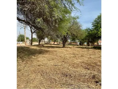 Terreno comercial en venta en Filadelfia, Boquerón