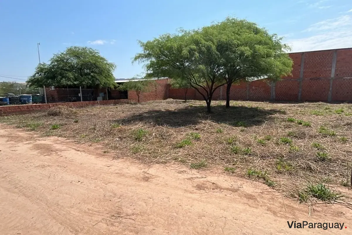 Terreno comercial à venda em Filadelfia, Boquerón