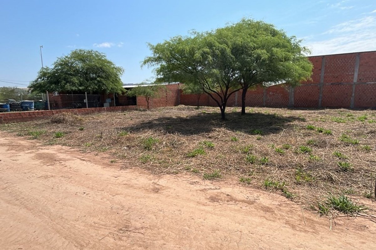 Terreno comercial en venta en Filadelfia, Boquerón