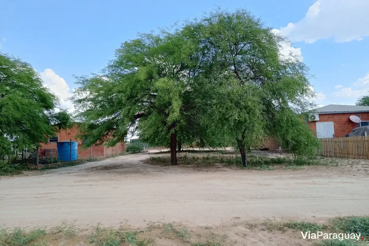 Terreno comercial en venta en Filadelfia, Boquerón