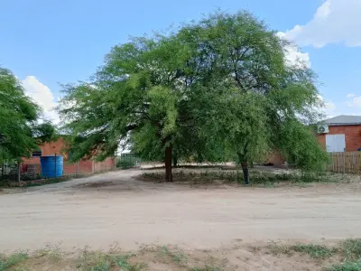 Terreno comercial en venta en Filadelfia, Boquerón