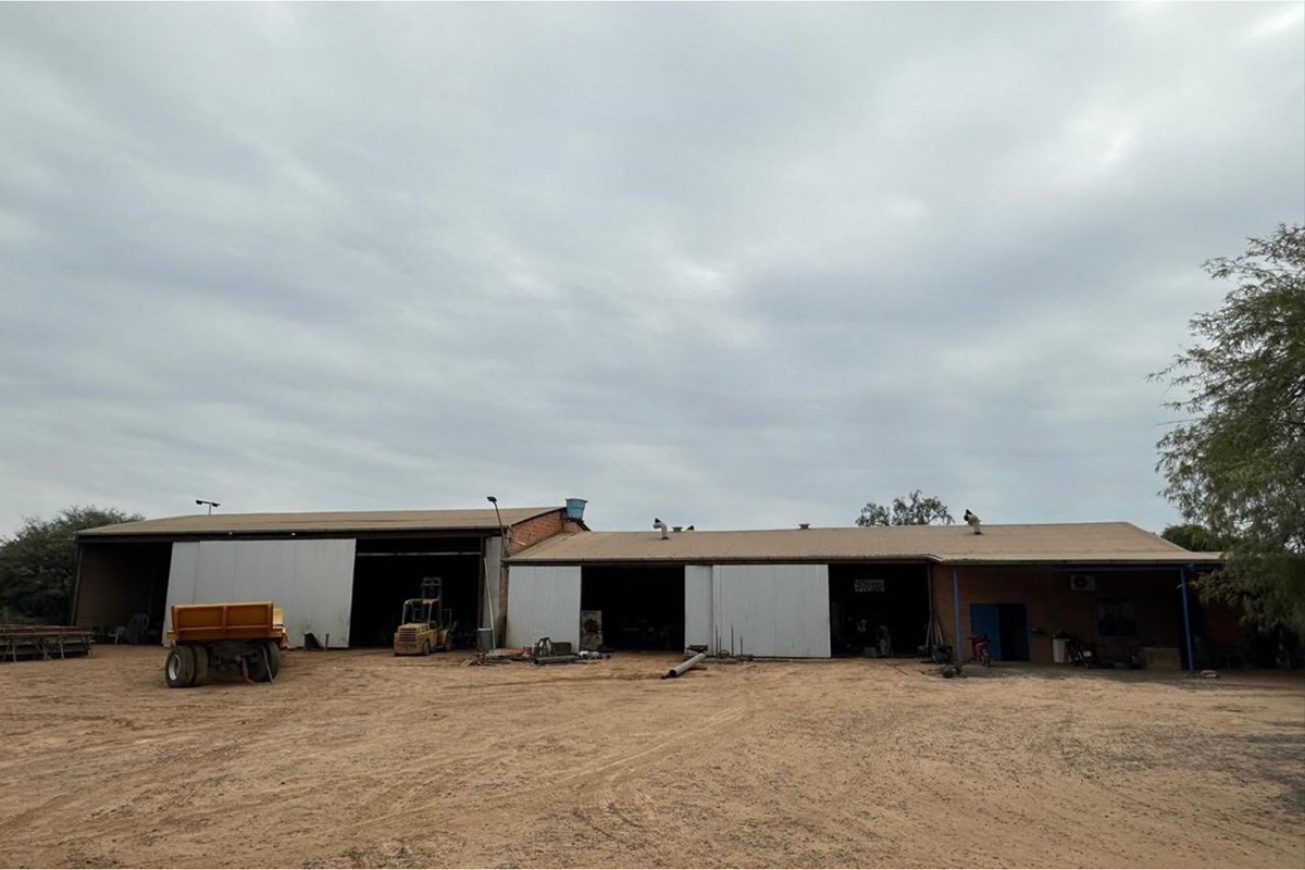 Terreno comercial en venta en Filadelfia, Boquerón