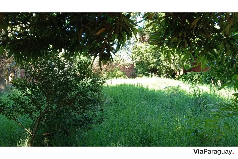Commercial land for sale in Km 9 Acaray, Ciudad del Este