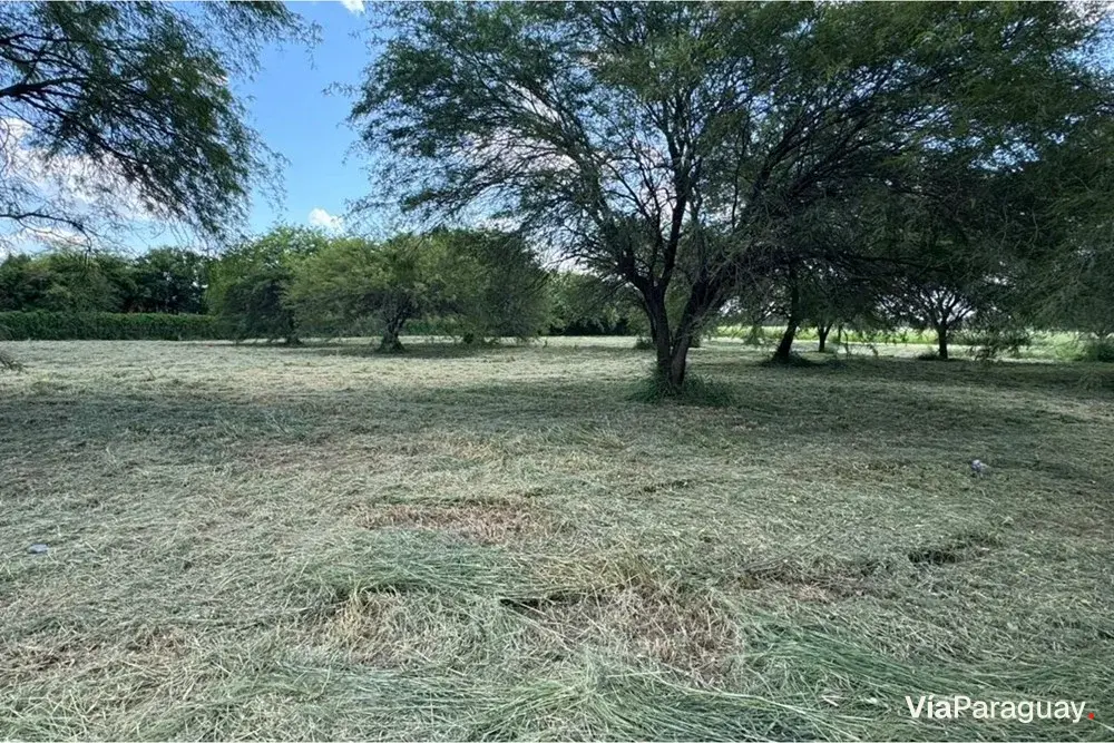 Terreno comercial à venda em Loma Plata, Boquerón