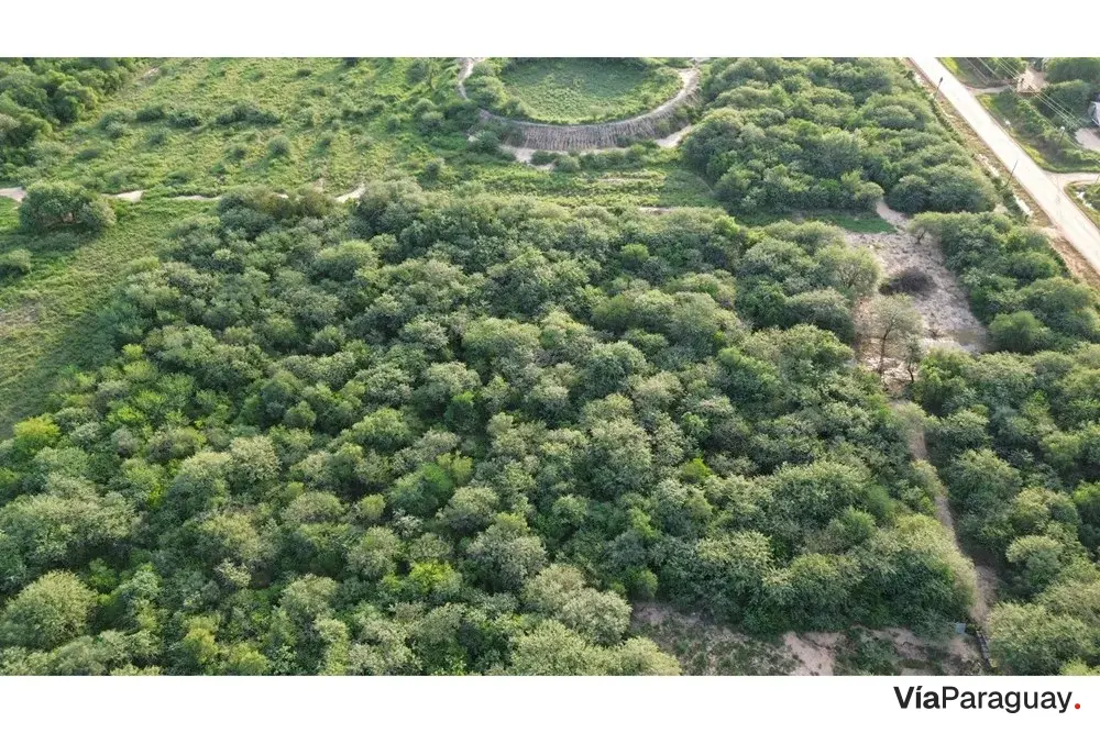 Terreno comercial en venta en Loma Plata, Boquerón