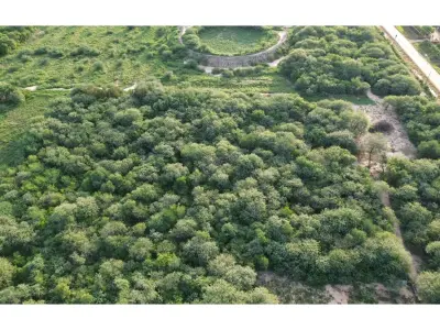 Terreno comercial en venta en Loma Plata, Boquerón