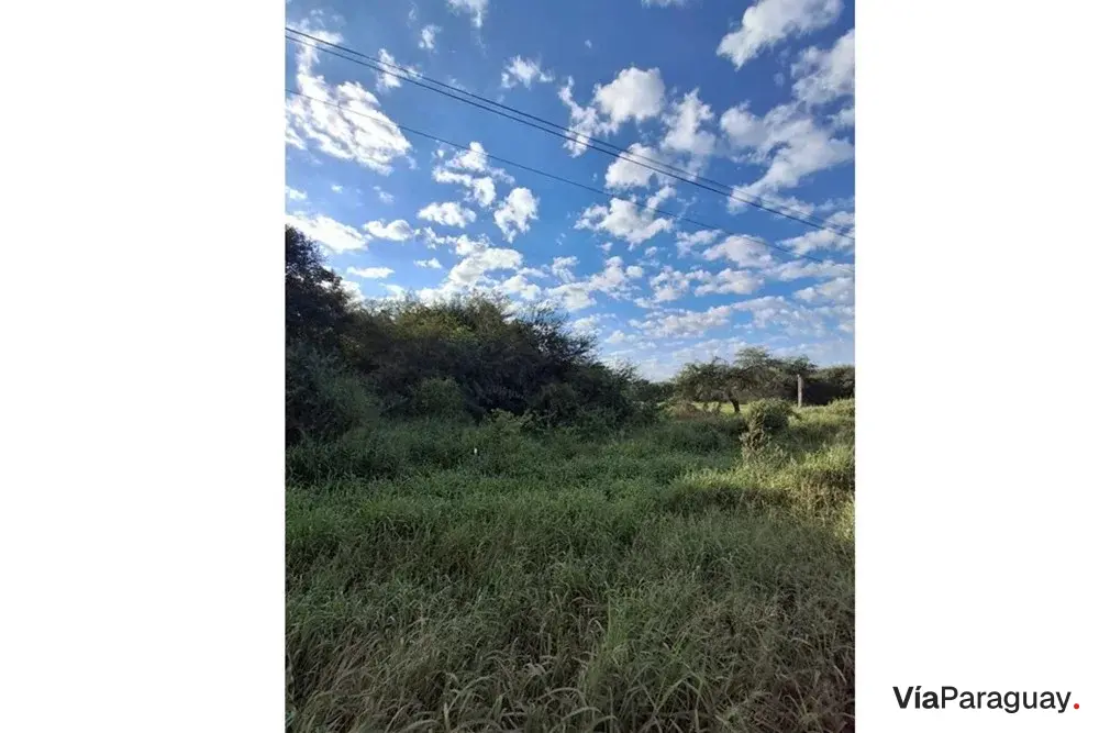 Terreno comercial en venta en Loma Plata, Boquerón