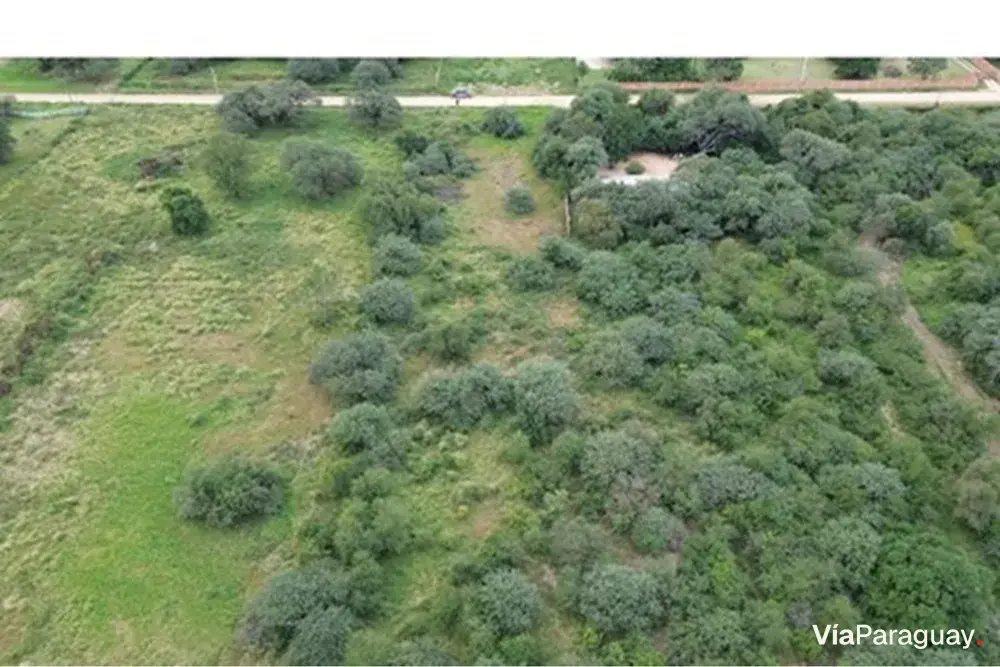 Terreno comercial en venta en Loma Plata, Boquerón