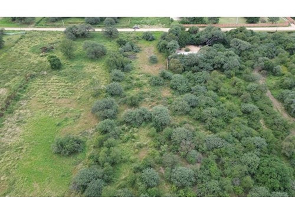 Commercial land for sale in Loma Plata, Boquerón