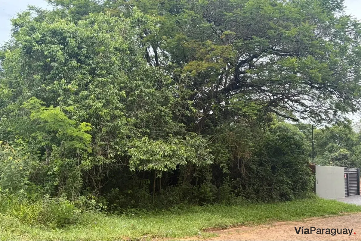 Terreno comercial en venta en Nueva Esperanza, Encarnación