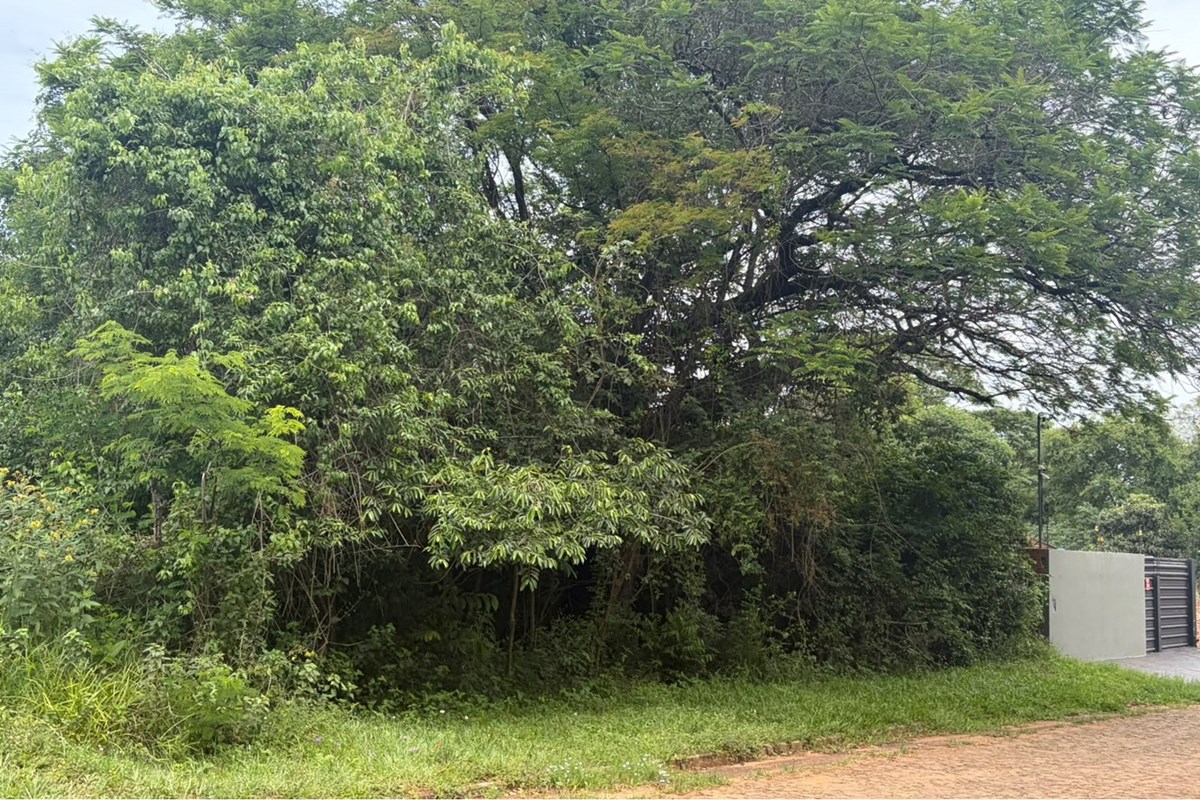 Terreno comercial à venda em Nueva Esperanza, Encarnación