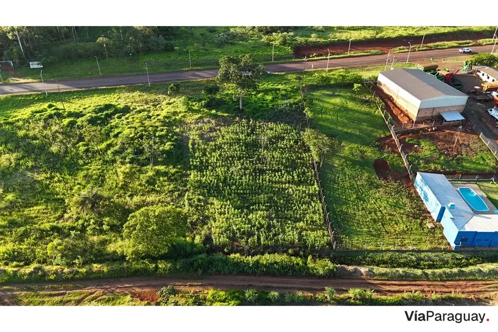 Commercial land for sale in Tavapy, Alto Paraná