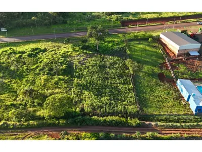 Commercial land for sale in Tavapy, Alto Paraná