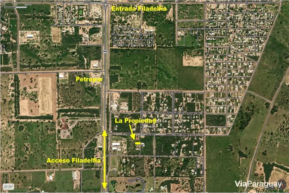 Commercial land for sale on Miller street, Colonia Fernheim