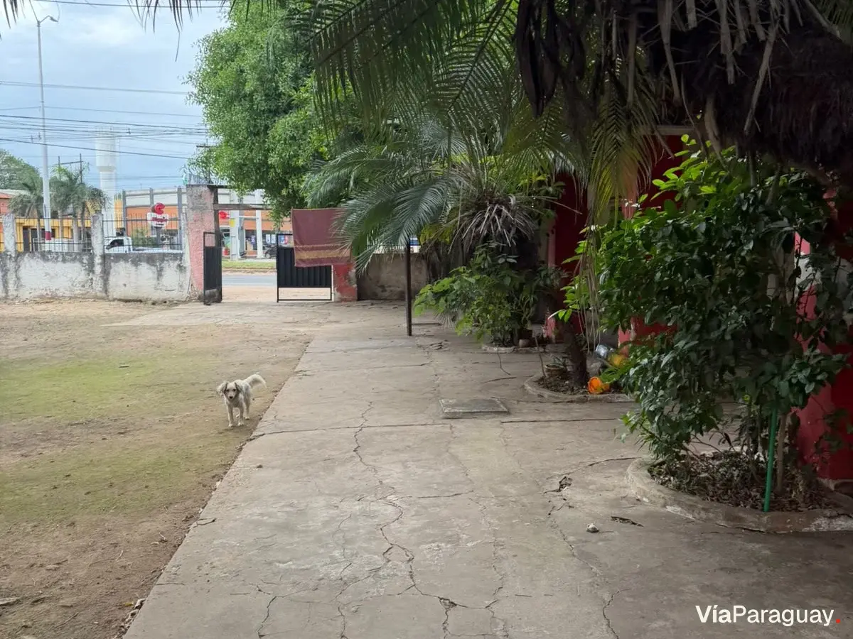 Terreno comercial en venta sobre Ruta Gral. Elizardo Aquino, Limpio