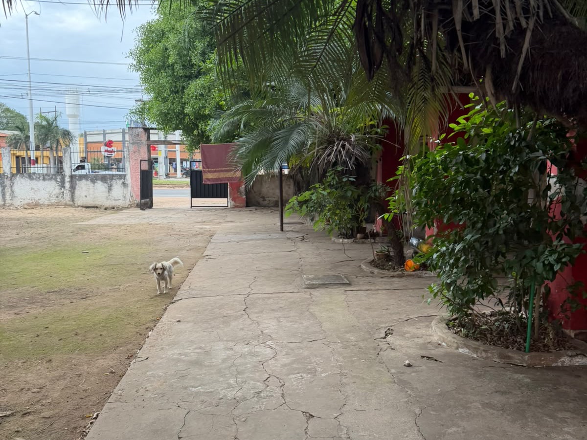 Terreno comercial en venta sobre Ruta Gral. Elizardo Aquino, Limpio