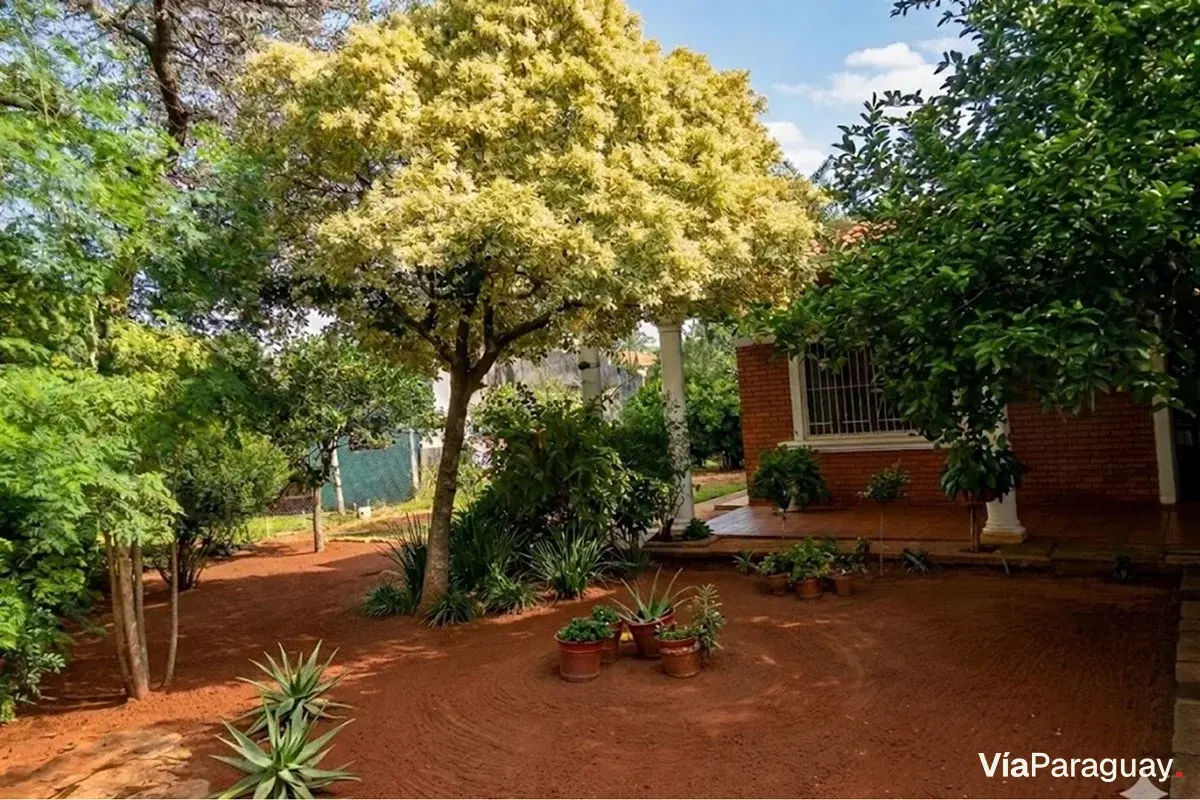 Terreno com casa para reformar à venda em Ñemby